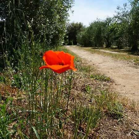 L' Ippocastano * Sermoneta