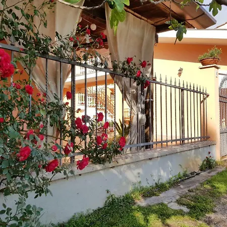 L' Ippocastano Sermoneta
